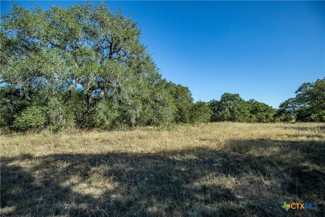 21123 Lamm Road, Elmendorf, TX 78112, Elmendorf, Texas, United States. - Photo 37