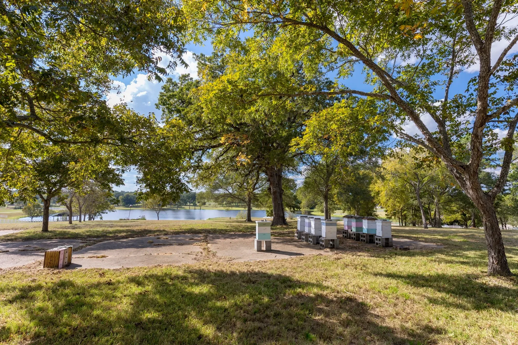 2250 Spring Branch Road, Montgomery, TX 77316, Montgomery, Texas, United States. - Photo 13