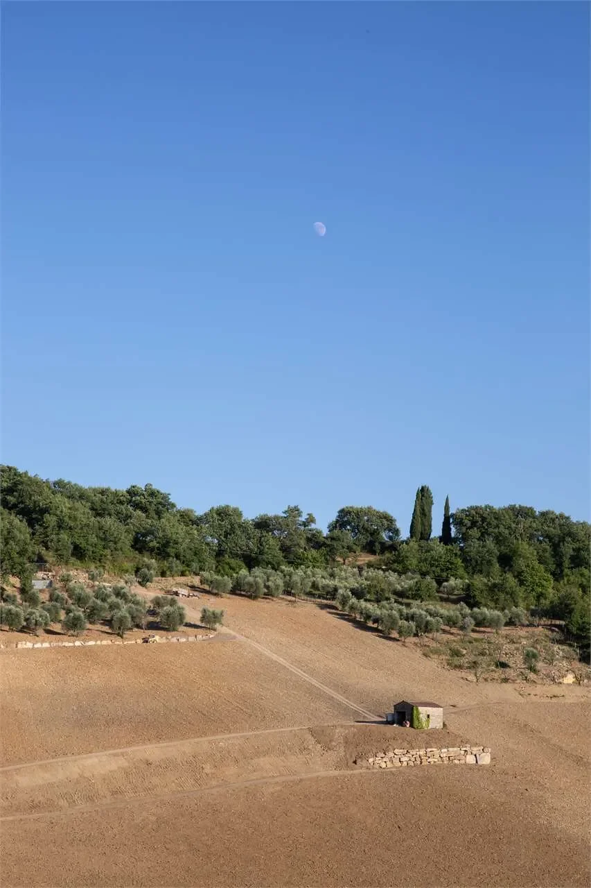 Gaiole in Chianti, Tuscany, Italy. - Photo 21