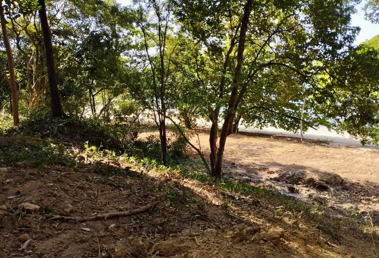 Krabi,, Ko Siboya, Krabi, Thailand. - Photo 2