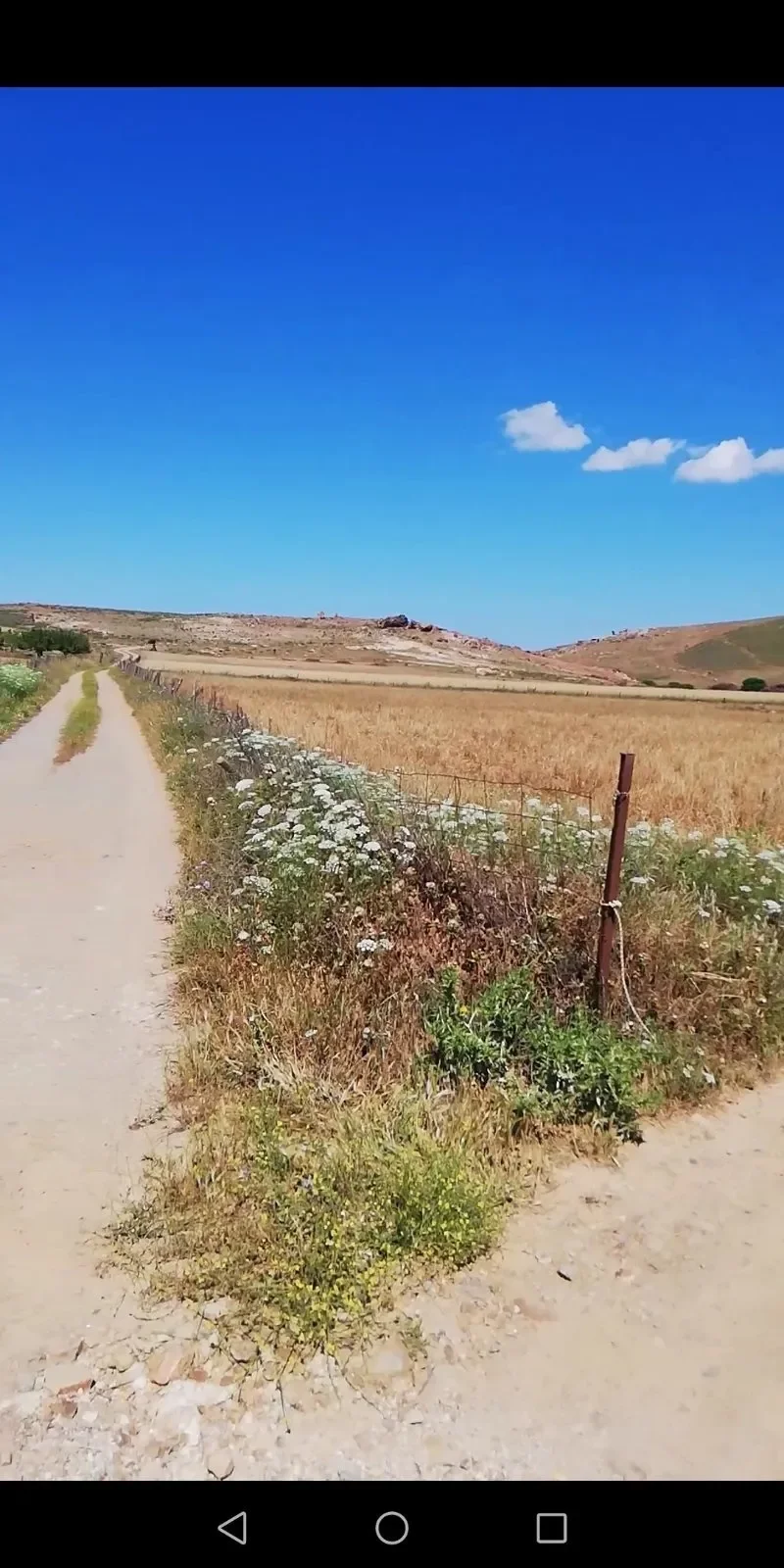 Lemnos, Aegean, Greece. - Photo 4