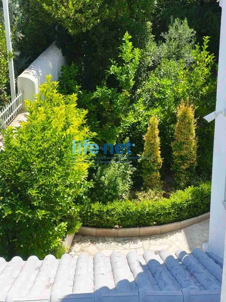Ekali, Attica, Greece. - Photo 23