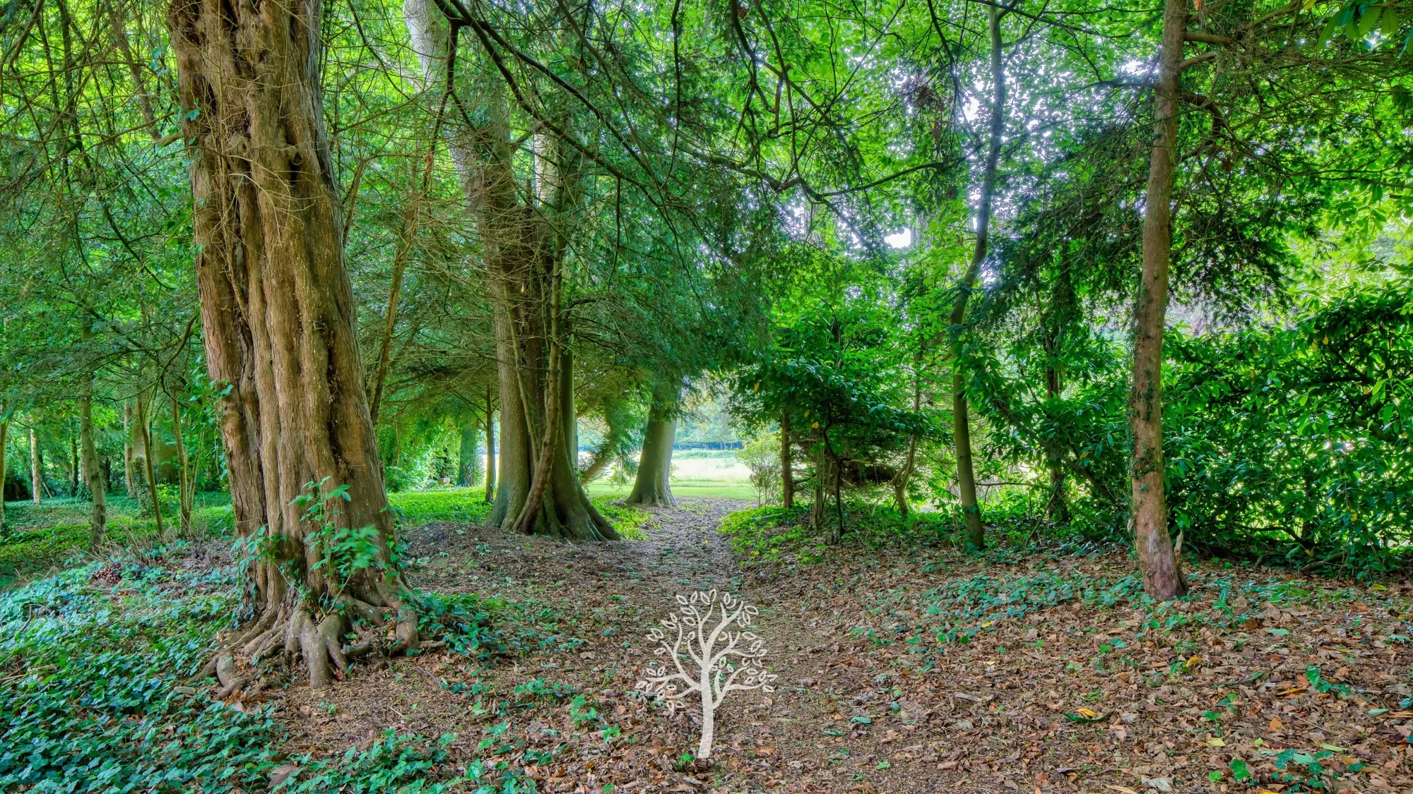 Saint-Valery-en-Caux, Normandy, France. - Photo 14