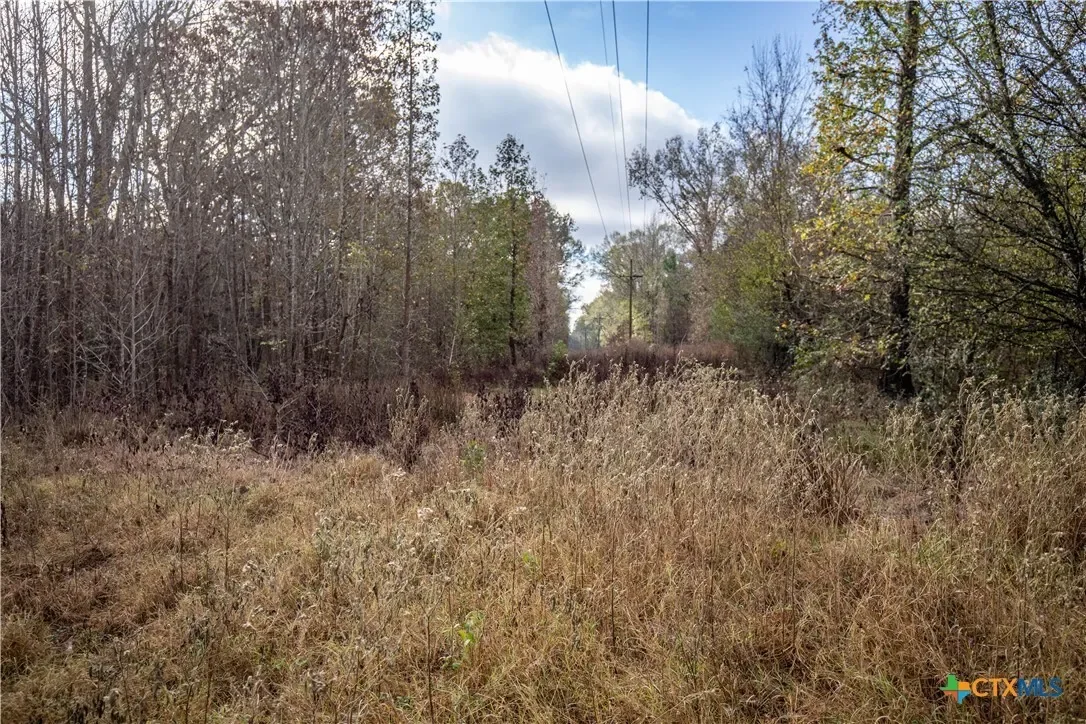 474 Pr 4311, White Oak, TX 75693, Longview, Texas, United States. - Photo 22