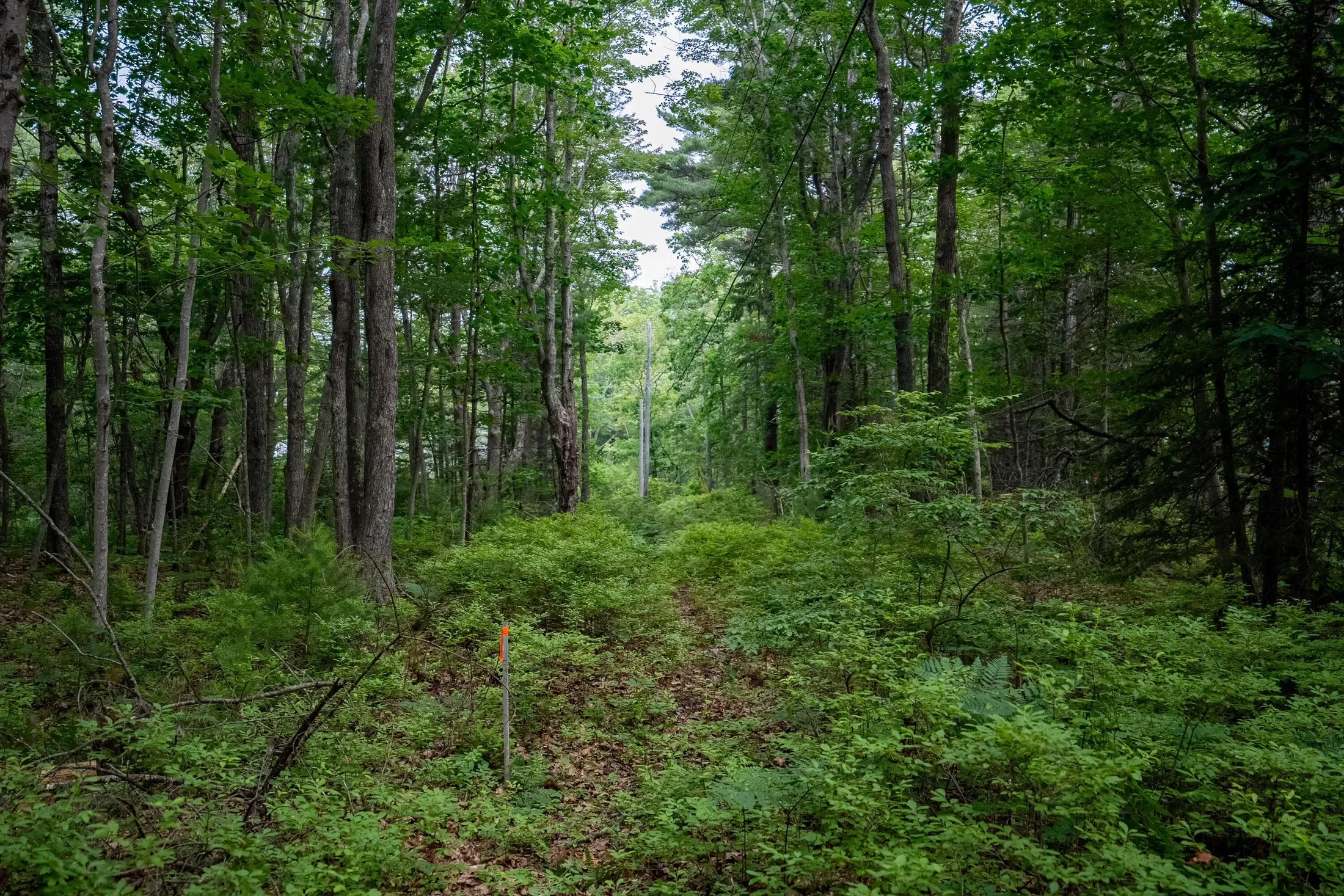 Wildes District Road, Kennebunkport, ME 04046, Kennebunkport, Maine, United States. - Photo 16