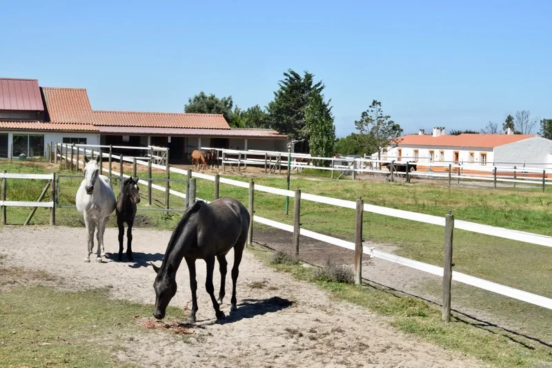 7630-174 S.Teotónio, Portugal, S.Teotónio, Beja District, Portugal. - Photo 6
