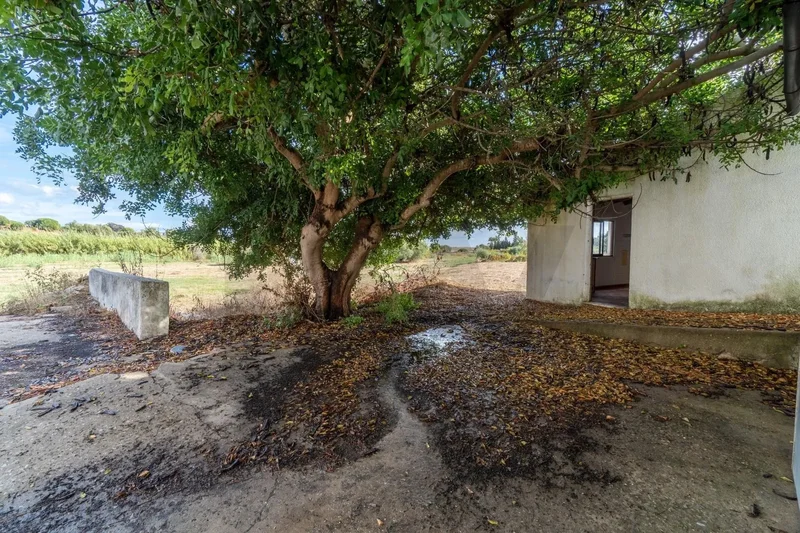 Luz de Tavira e Santo Estêvão, Tavira, Faro, Tavira, Luz de Tavira e Santo Estevao, Algarve, Portugal. - Photo 18