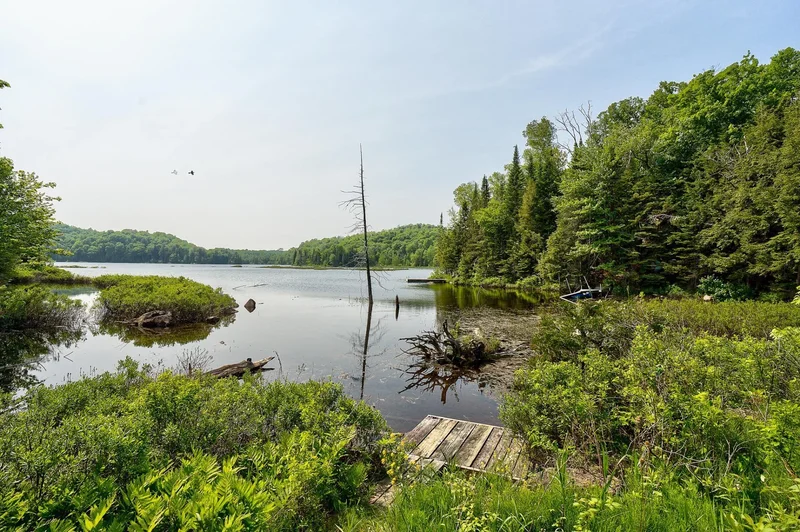 3112 Ch. du Lac-Farmer, Wentworth North, Quebec, Canada. - Photo 53