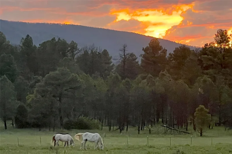 207 County Road A2 , Sapello, NM 87745, Sapello, New Mexico, United States. - Photo 64