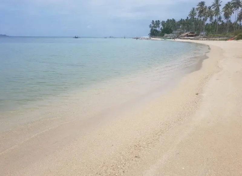 🌴 Your Private Tropical Island Awaits – A Once-in-a-Lifetime Opportunity! 🌴