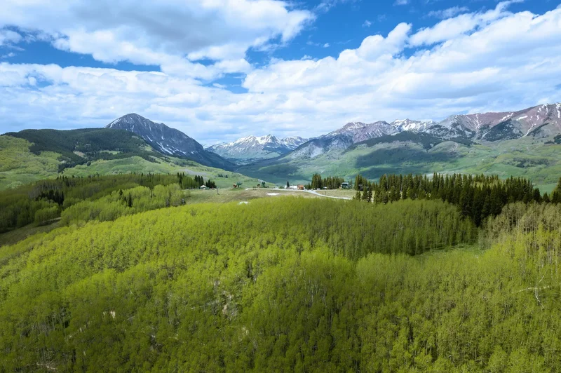 E38 Prospect Drive , Mt Crested Butte, CO 81225, Crested Butte, Colorado, United States. - Photo 18