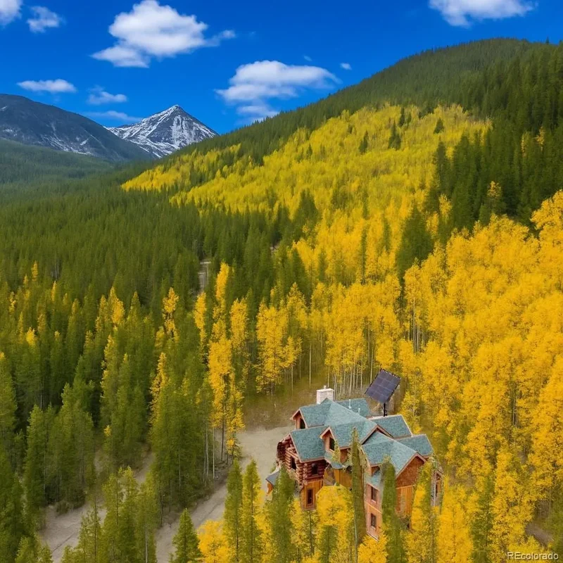 Single Family Residence in Idaho Springs