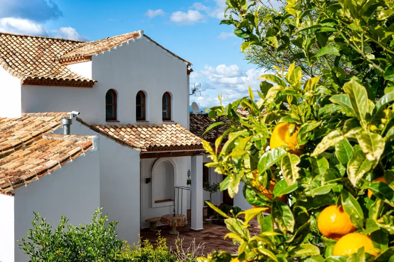 29690 Casares, Málaga, Spain, Casares, Andalusia, Spain. - Photo 26
