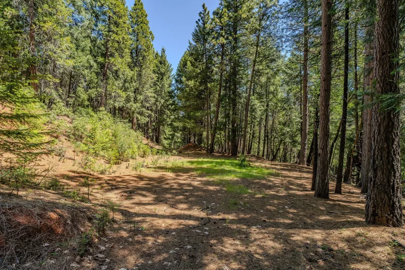 18720 Circle View Drive , Pioneer, CA 95666, Pioneer, California, United States. - Photo 62