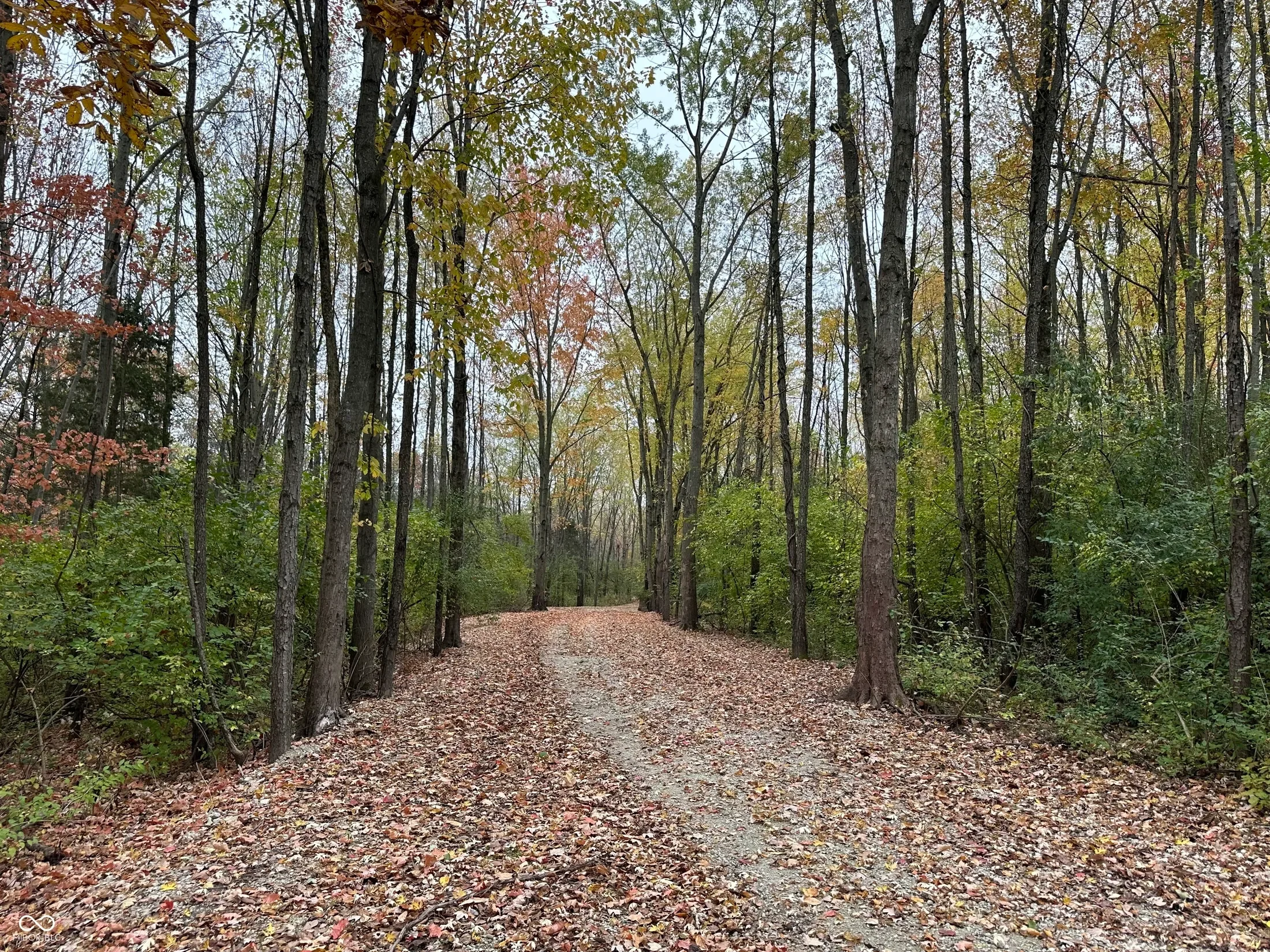 8351 S State Road 39, Clayton, IN 46118, Monrovia, Indiana, United States. - Photo 29