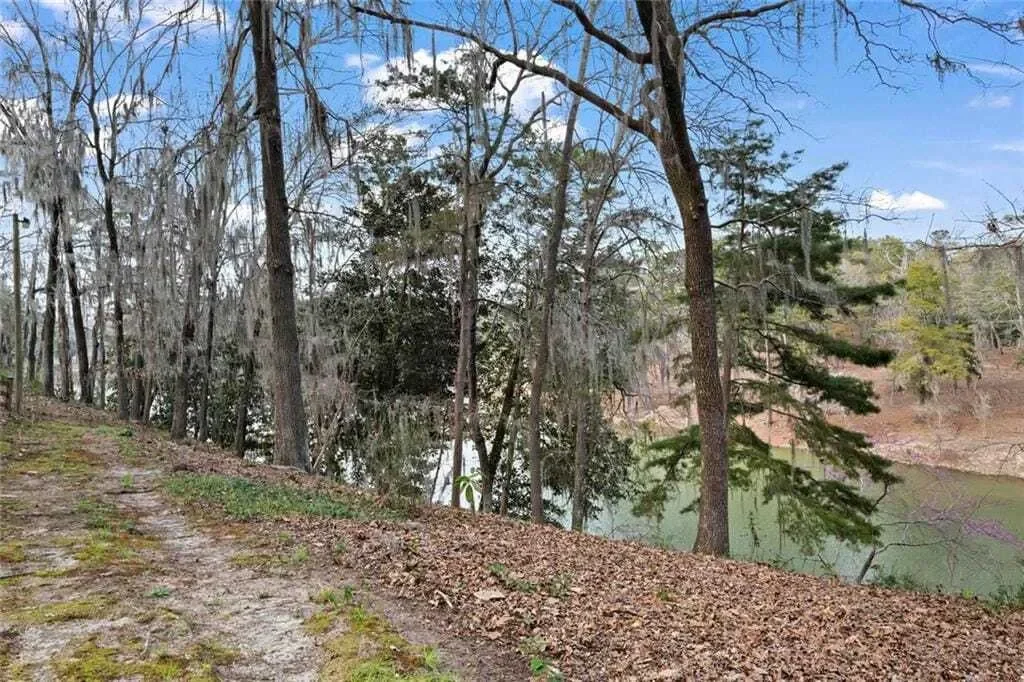 250 Moore Meadow Drive, Georgetown, Georgia, United States. - Photo 43