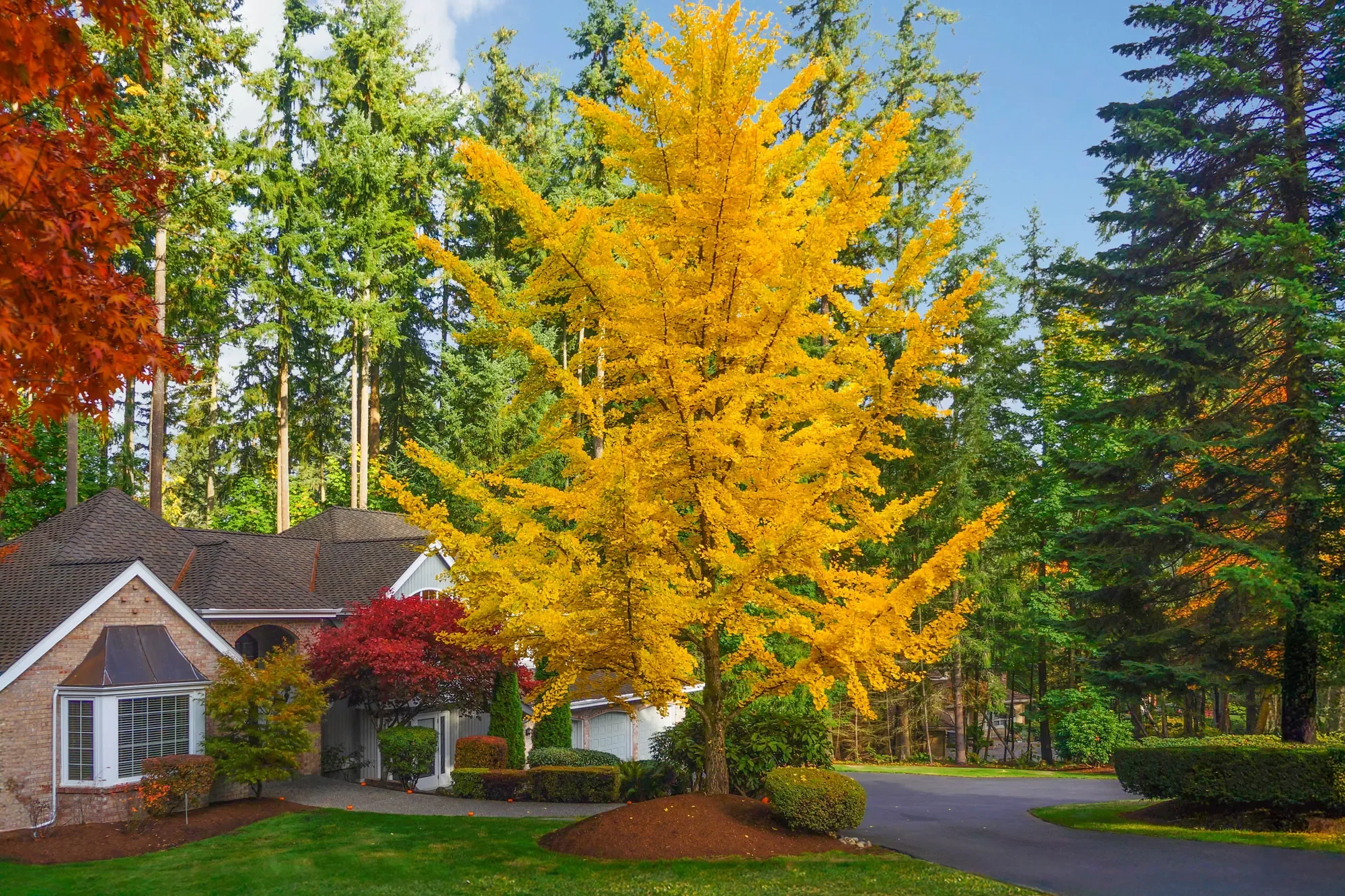 16424 NE 169th Place , Woodinville, WA 98072, Cottage Lake, Washington, United States. - Photo 37