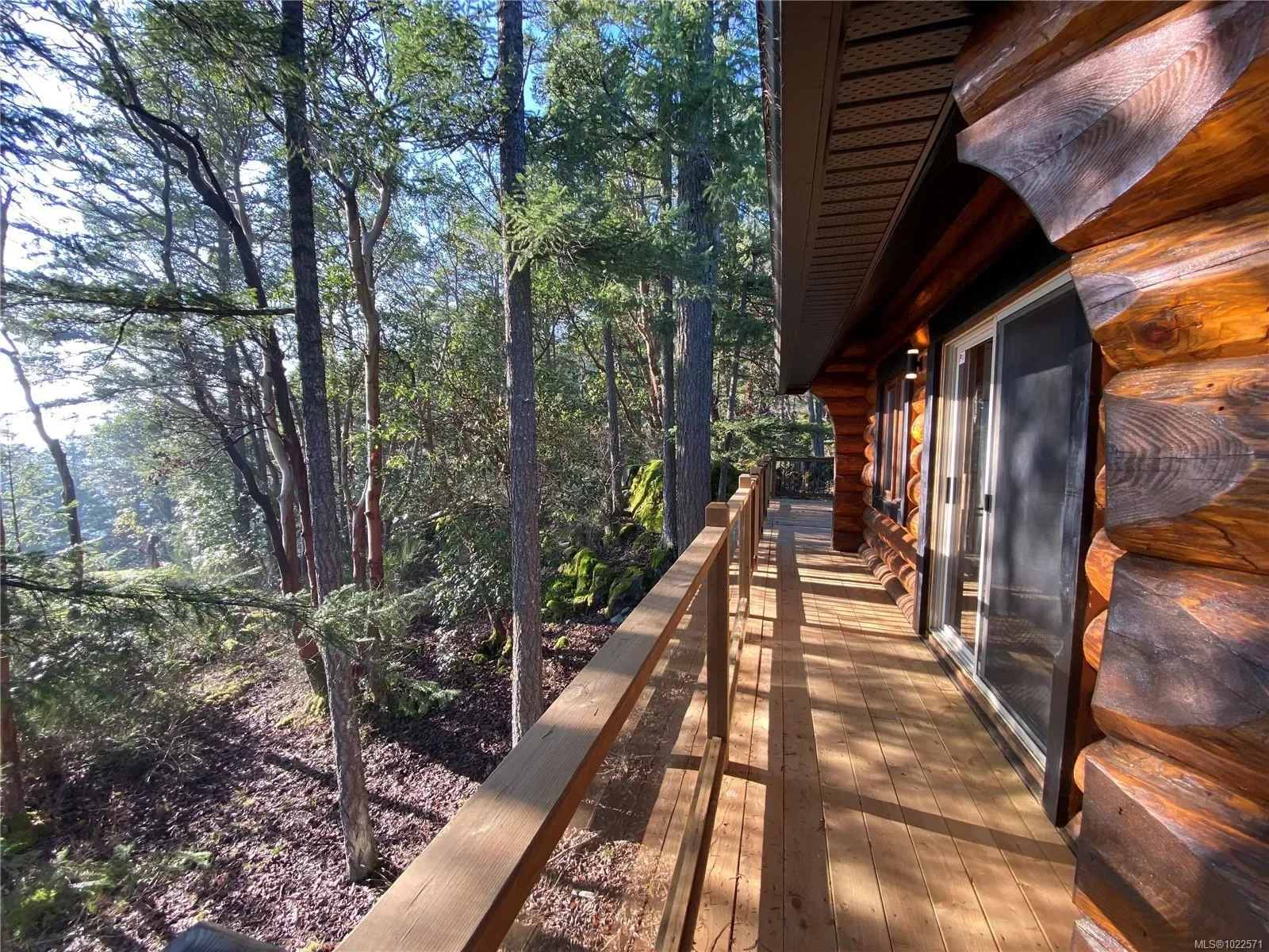 Exterior photo 11