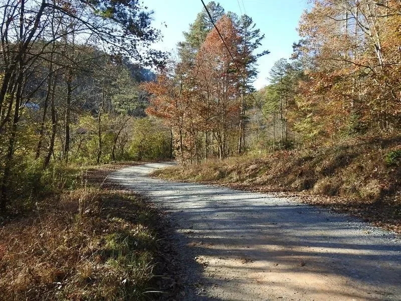 Toccoa River Road, Mineral Bluff, GA 30559, Mineral Bluff, Georgia, United States. - Photo 9