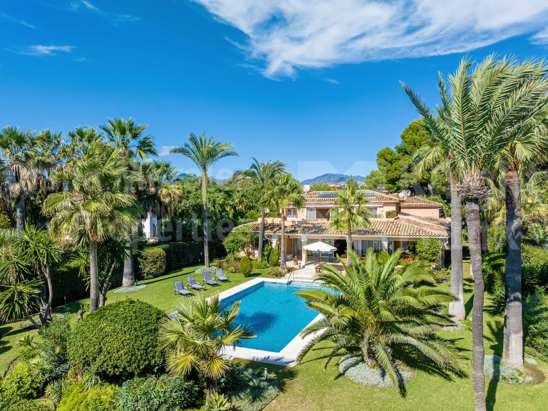 Estepona, Andalusia, Spain. - Photo 34