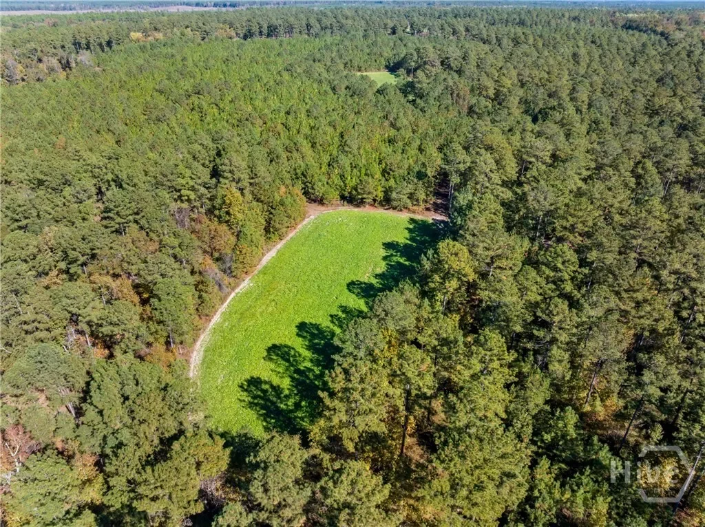 0 Honey Ridge Road, Millen, Georgia, United States. - Photo 49