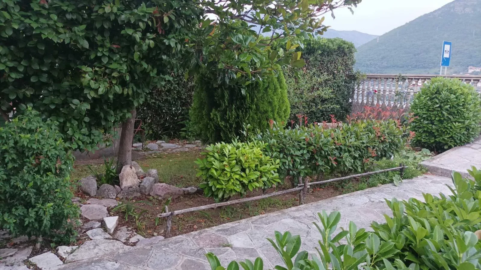 Herceg-Novi, Opatovo, Herceg Novi Municipality, Montenegro. - Photo 6