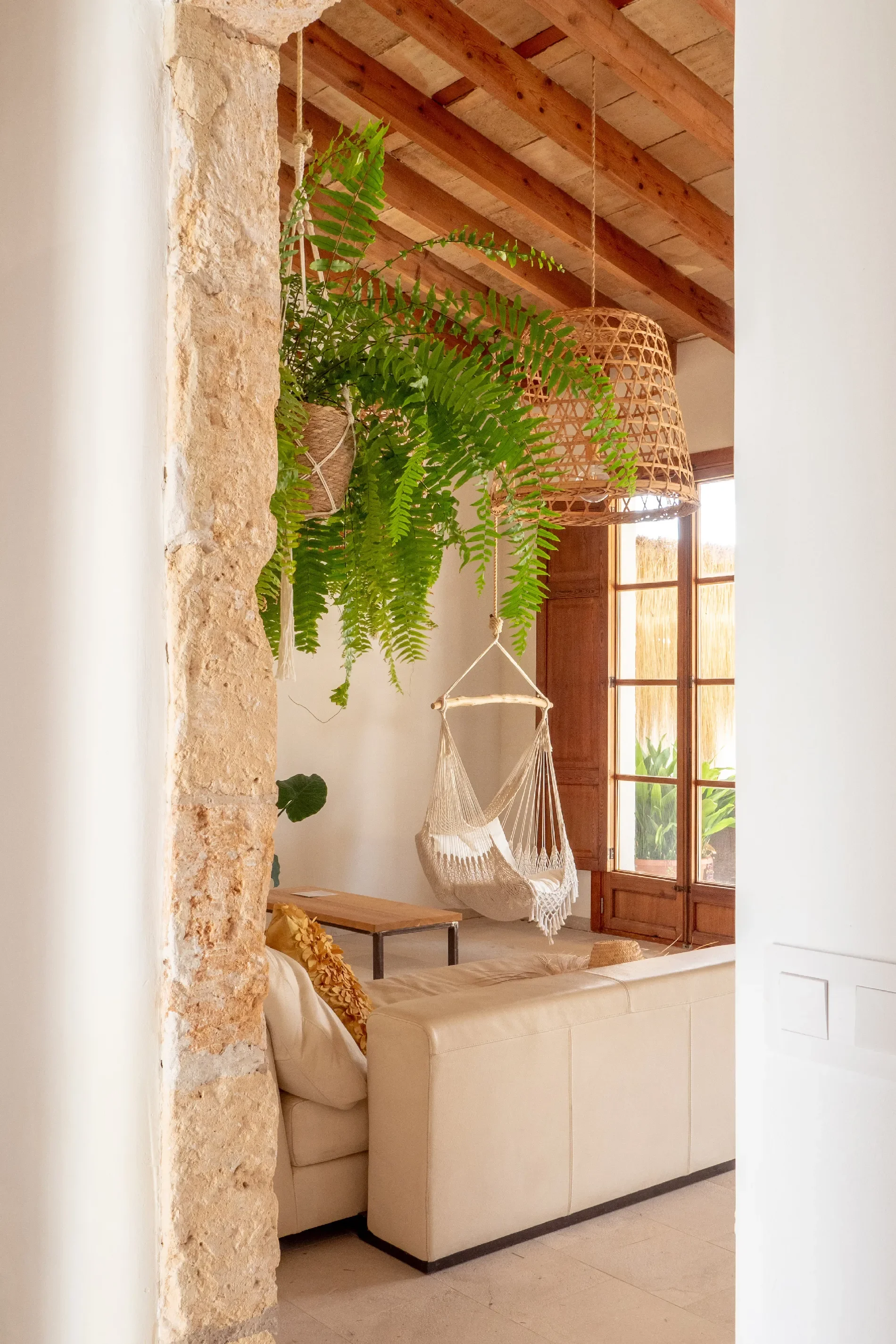 Establiments, Nord, Palma, Illes Balears, Spain, Palma, Balearic Islands, Spain. - Photo 21