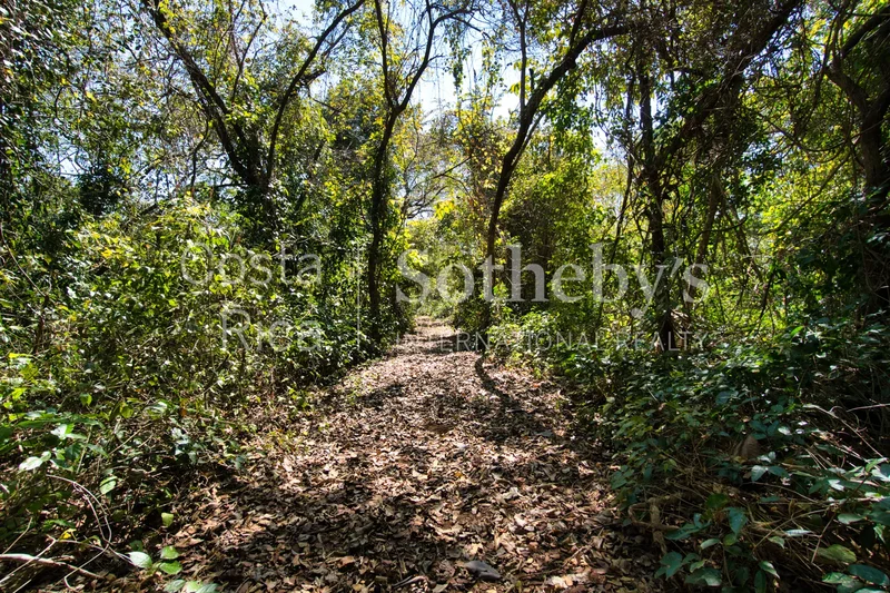 Nosara | Ostional, Nosara, G, Santa Cruz, Costa Rica. - Photo 10