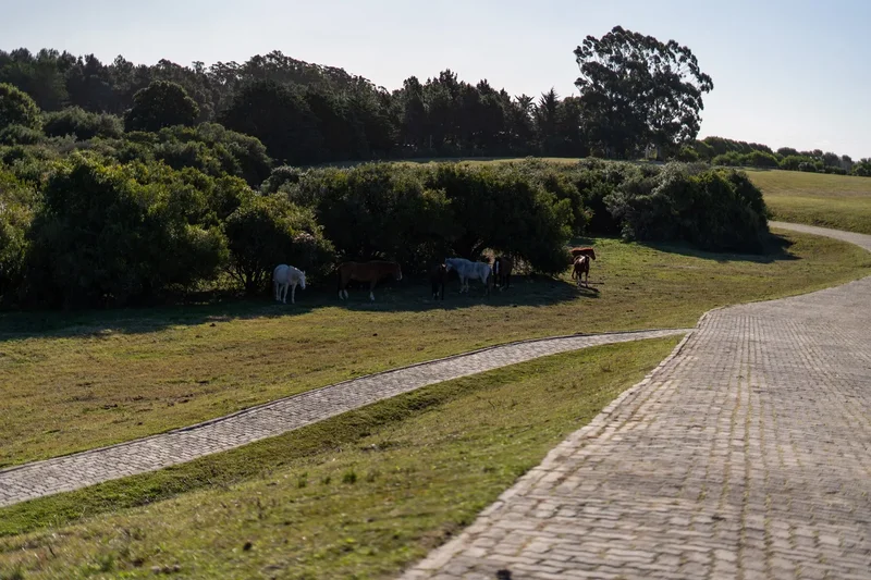 Las Portuguesas, 1642, Jose Ignacio, MA, Arenas de José Ignacio, Maldonado Department, Uruguay. - Photo 5