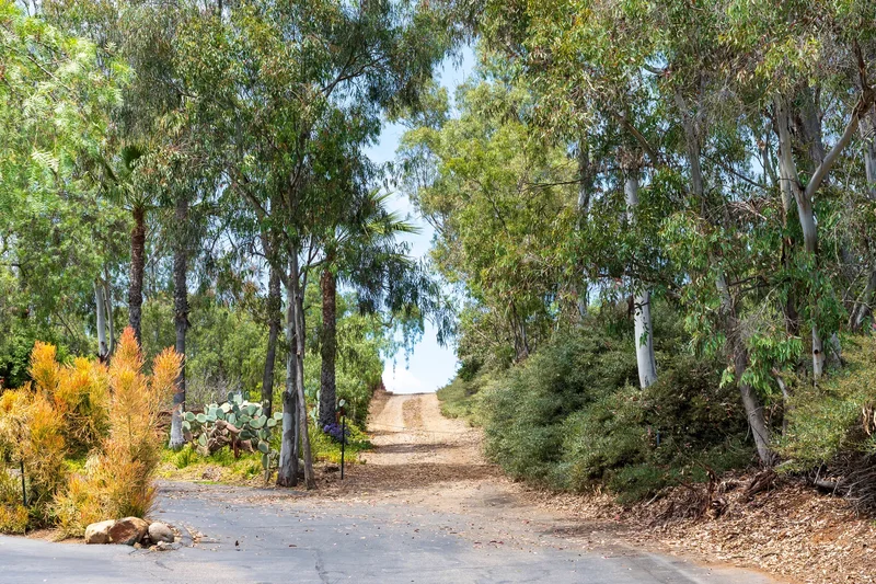 18096 Loma Alegre , Rancho Santa Fe, CA 92067, Encinitas, California, United States. - Photo 2