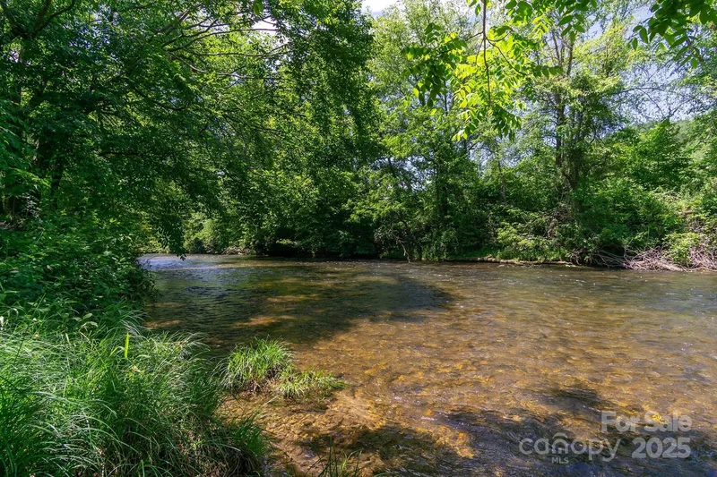 99999 Caddis Lane 92, Horse Shoe, North Carolina, United States. - Photo 2