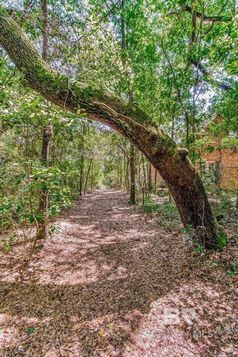 11080 County Road 99, Lillian, AL 36549, Lillian, Alabama, United States. - Photo 15