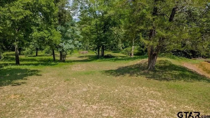 249 PR 6936, Alba, TX 75410, Mineola, Texas, United States. - Photo 11