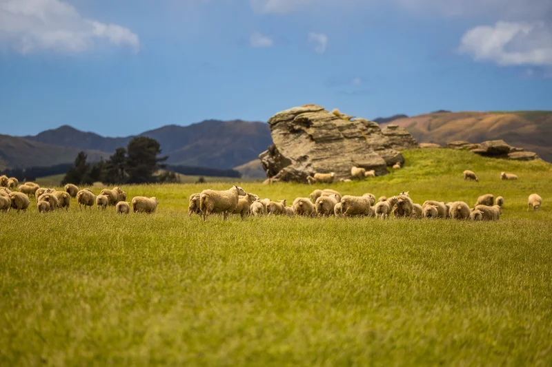 Middlemarch, Dunedin, OTA 9074, Pukerangi, Otago, New Zealand. - Photo 29