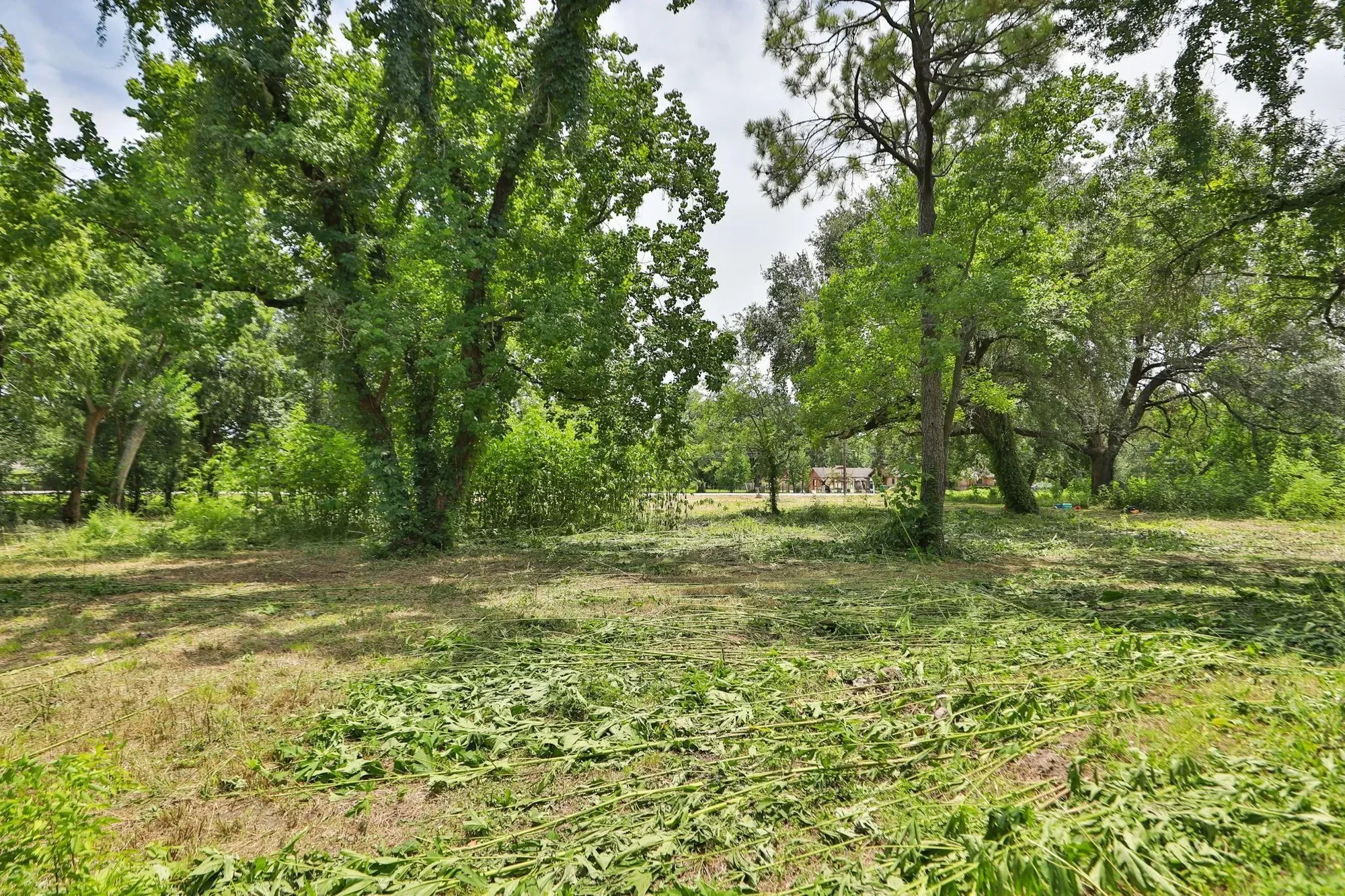 Gallery photo 10