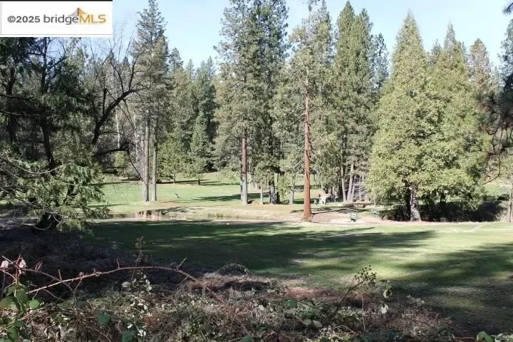 18861 Lookout Dr, Twain Harte, CA 95383, Twain Harte, California, United States. - Photo 31