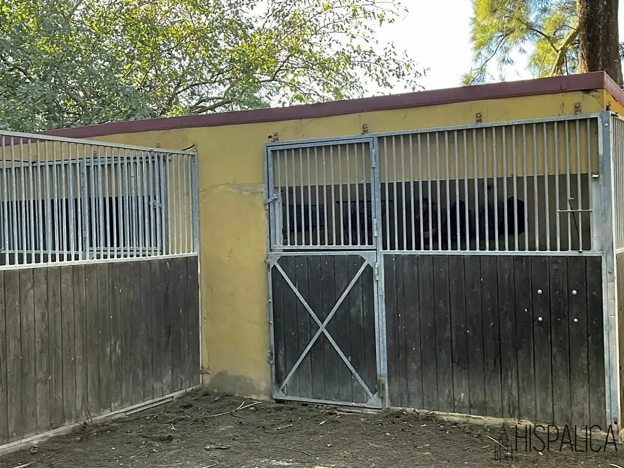 Property photo 12
