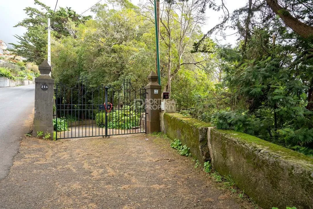 Funchal, Madeira, Funchal, Se, Madeira, Portugal. - Photo 26