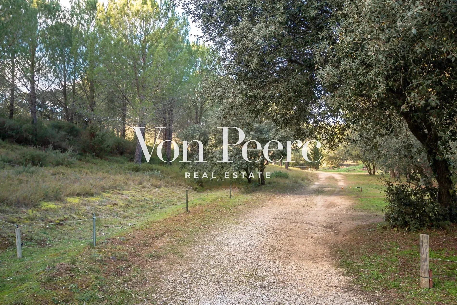 Saint-Rémy-de-Provence, Provence-Alpes-Côte d'Azur, France. - Photo 10