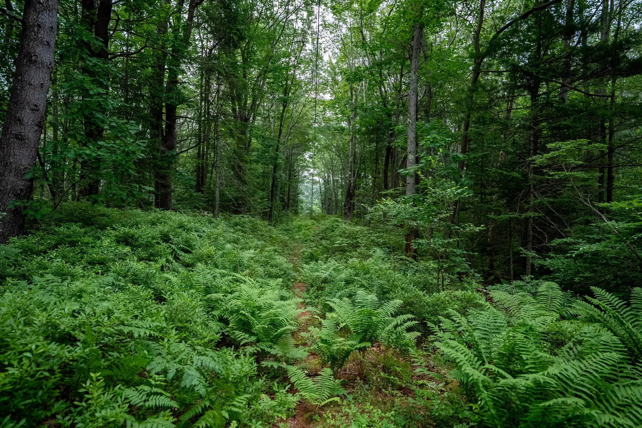 Wildes District Road, Kennebunkport, ME 04046, Kennebunkport, Maine, United States. - Photo 4