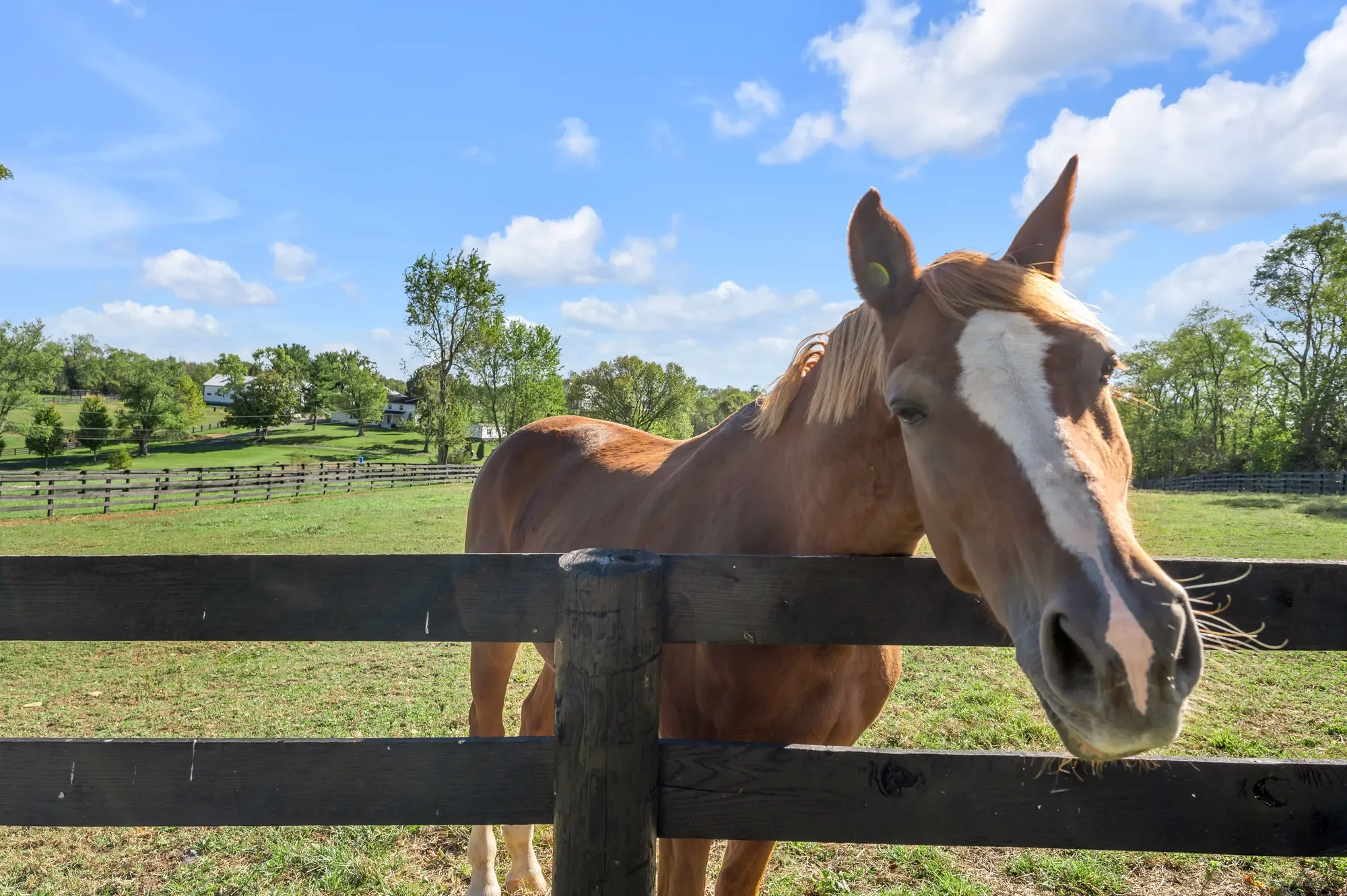 2788 Frankfort Road, Georgetown, KY 40324, Midway, Kentucky, United States. - Photo 83