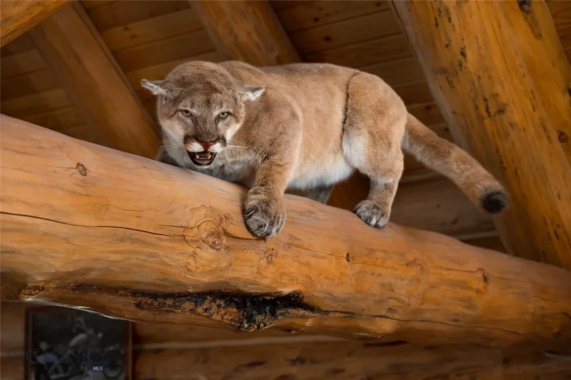 285 Lost Trail, Townsend, Montana, United States. - Photo 2