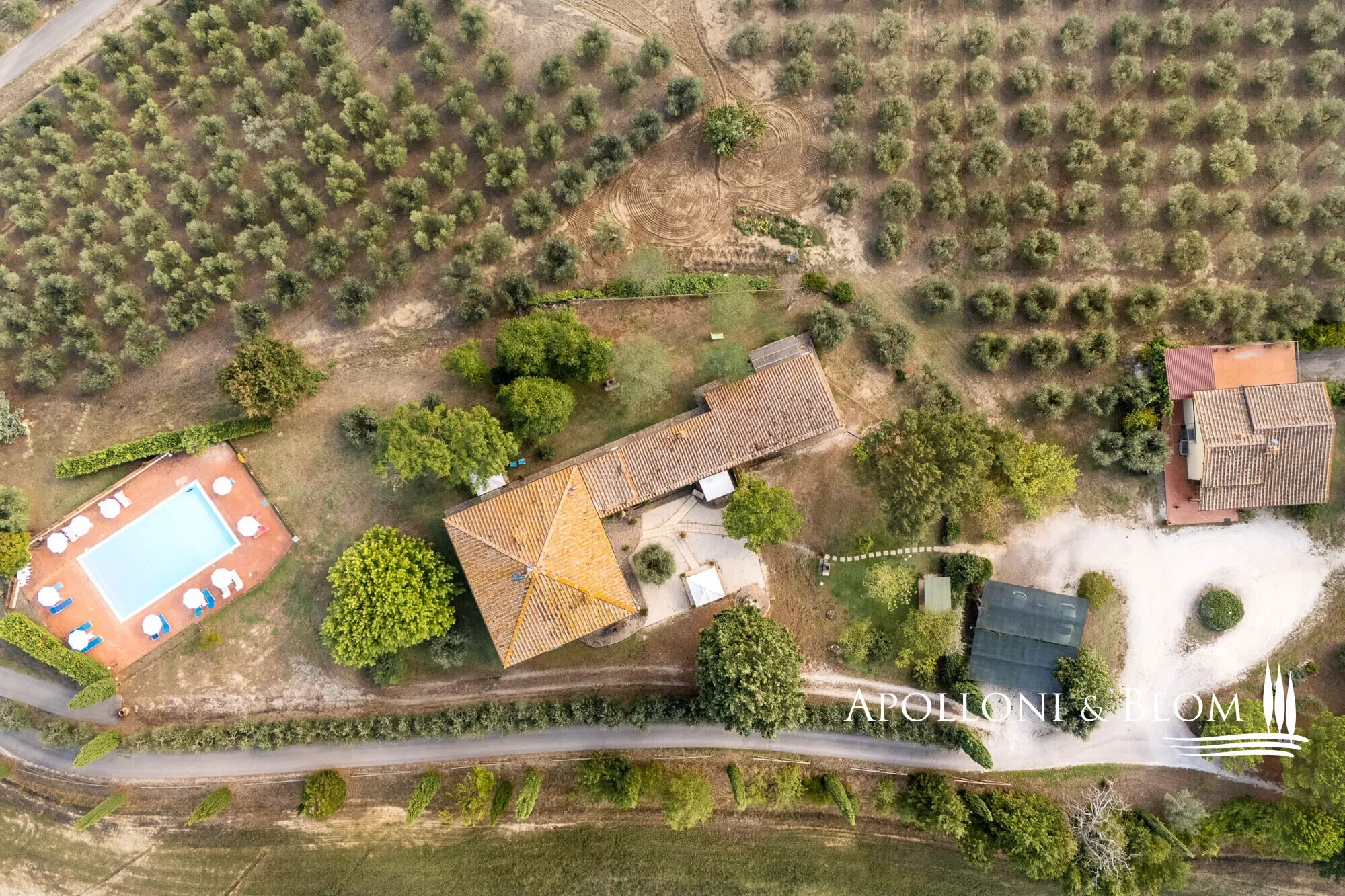 SP 14, Tuscany, Italy. - Photo 25