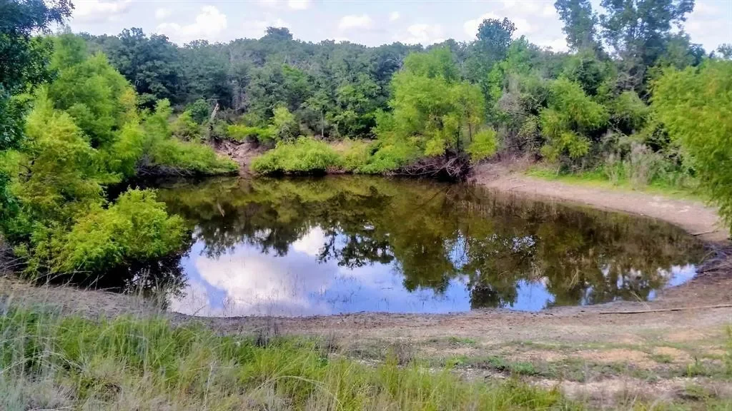 203 Saddle Ridge Court, Springtown, Texas, United States. - Photo 30