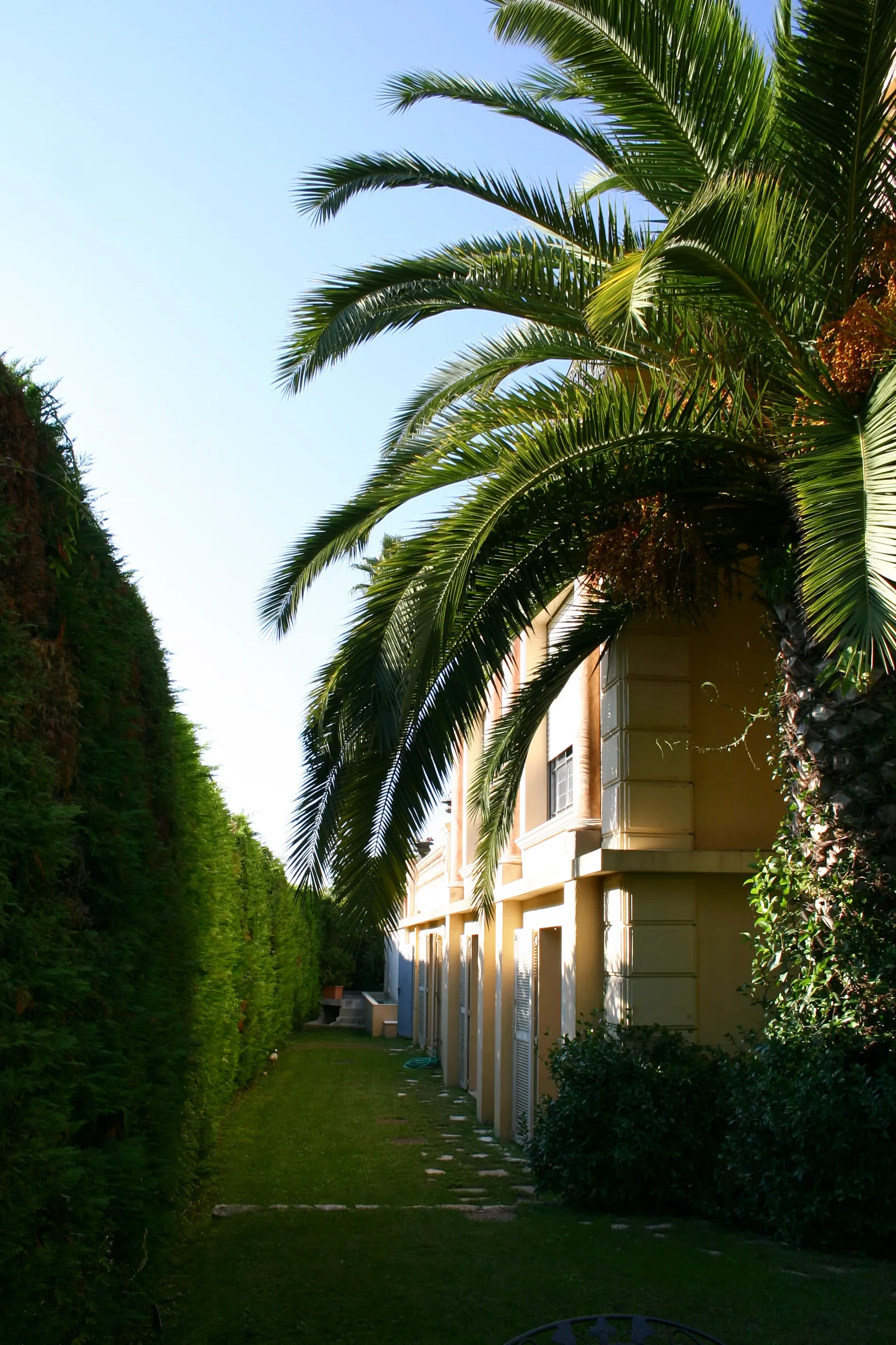 Cannes, France, Cannes, Provence-Alpes-Côte d'Azur, France. - Photo 7