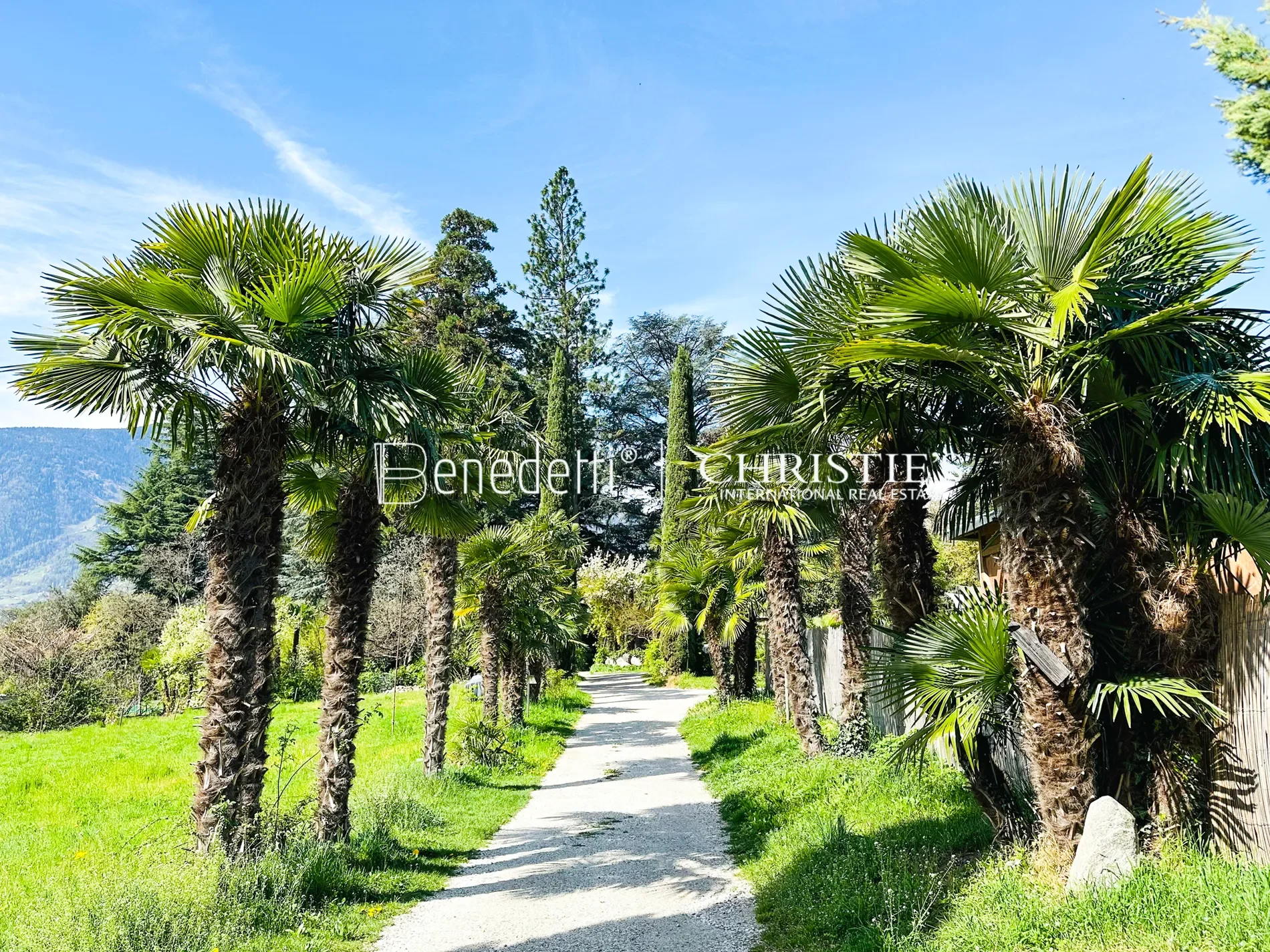 Merano, Autonomous Province of Bolzano – South Tyrol, Italy, Merano, Trentino-South Tyrol, Italy. - Photo 4