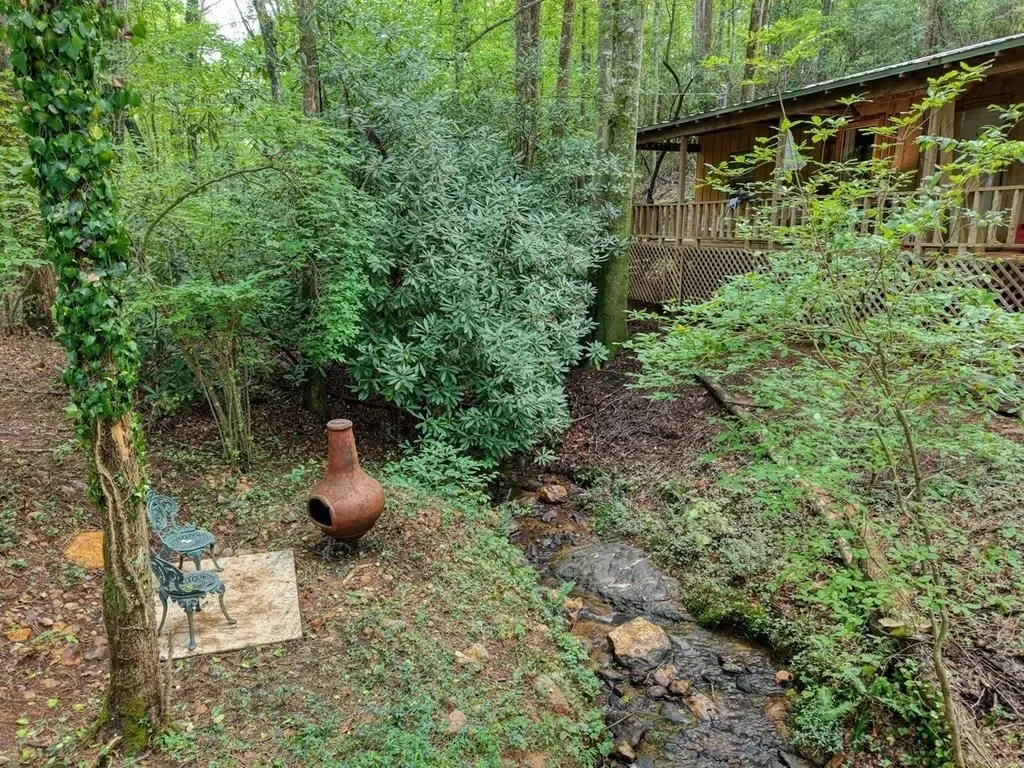 2479 Plum Orchard Road, Clayton, Georgia, United States. - Photo 64