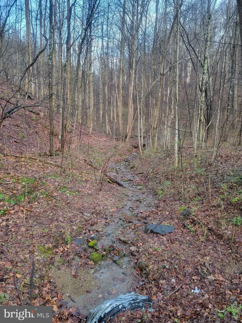 Quaker Run Road, Madison, VA 22727, Graves Mill, Virginia, United States. - Photo 22
