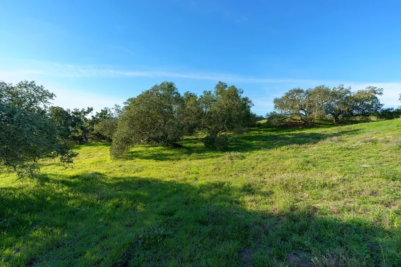 518 Bella Terra Court , San Luis Obispo, CA 93401, Pismo Beach, California, United States. - Photo 3