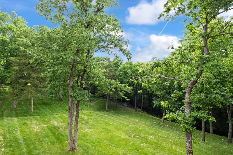 5935 S Farm Road 185, Rogersville, MO 65742, Rogersville, Missouri, United States. - Photo 66